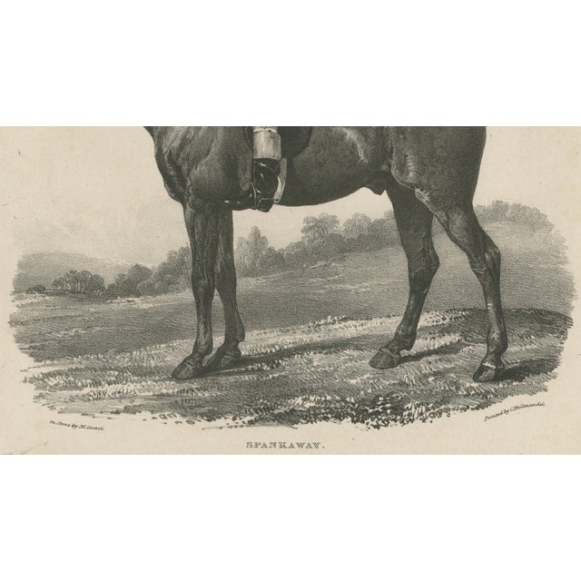 Maxim Gauci, Spankaway, Celebrated British Racehorse, Lithograph, 1840 For Sale - Image 7 of 10