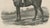 Maxim Gauci, Spankaway, Celebrated British Racehorse, Lithograph, 1840 For Sale - Image 7 of 10
