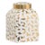 Chelsea House Jungle Ginger Jar in White For Sale