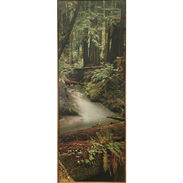 Contemporary 70s Boho Forest Photograph Wall Hanging For Sale - Image 3 of 8