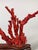 Asian Large Coral Sculpture, China, Early 20th Century For Sale - Image 3 of 12