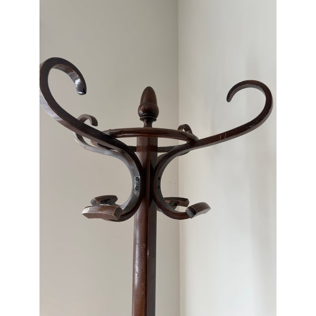Traditional Antique Thonet-Style Bentwood Perroquet Hall Tree & Coat Rack For Sale - Image 3 of 7
