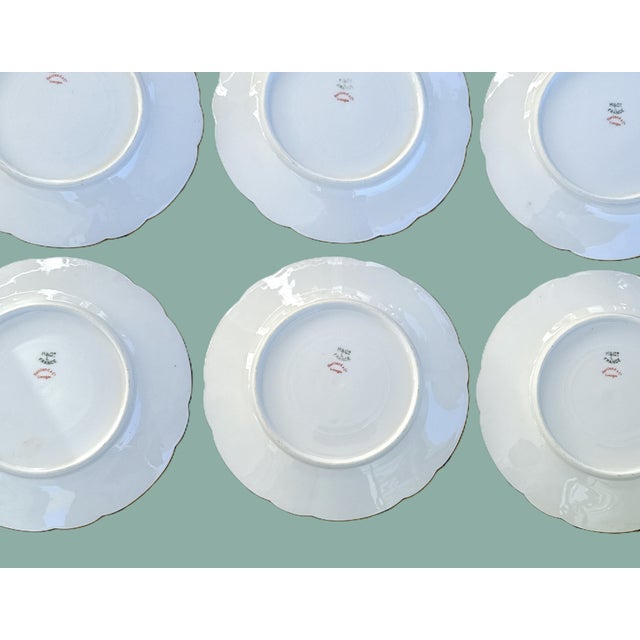 White Haviland & Co. Limoges Schleiger 52s Porcelain Plates – Set of Six For Sale - Image 8 of 8