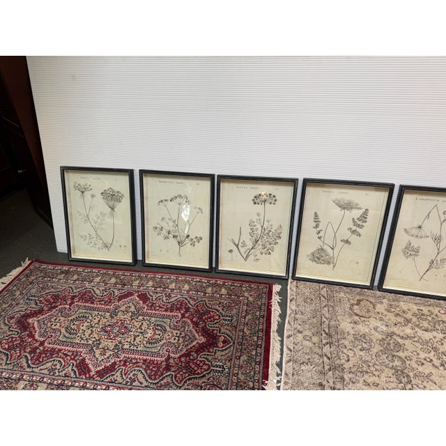 2010s Napa Home & Garden Wildflower Study Art Prints, Set of Six For Sale - Image 5 of 12