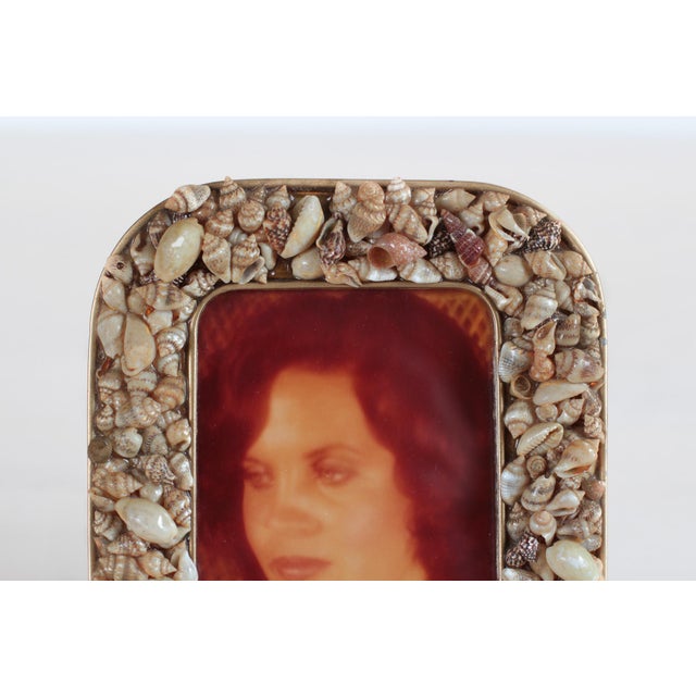 Mid-Century Seashell Photo Frame 7x5.5 For Sale In Lexington, KY - Image 6 of 12