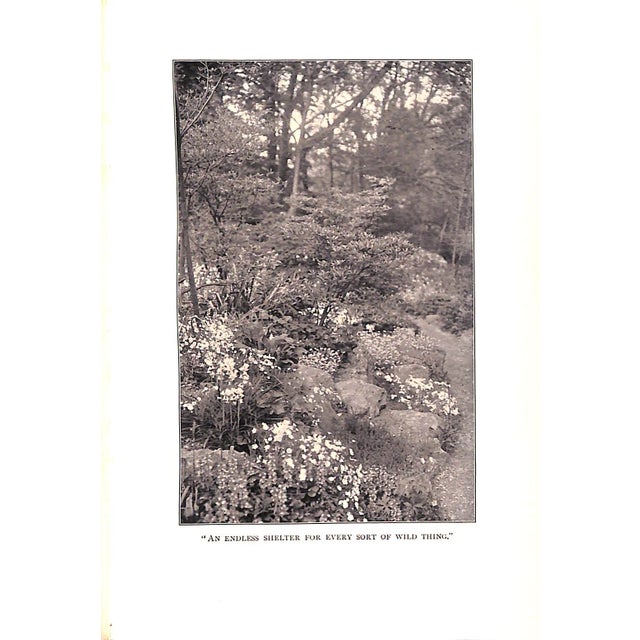 1910s "The Garden, You, and I" 1910 Barbara For Sale - Image 5 of 6