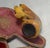 Antique 1800s Hand Carved Horse Meerschaum Smoking Pipe With Hard Case Sculpture For Sale - Image 9 of 10