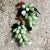 Boho Chic Vintage Boho Polished Stone Grape Clusters - a Pair For Sale - Image 3 of 6