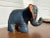 Folk Art Mid 20th Century Stuffed & Painted Canvas Elephant For Sale - Image 3 of 9