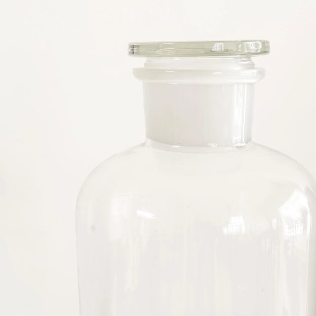 Vintage Lab Glass Chairish