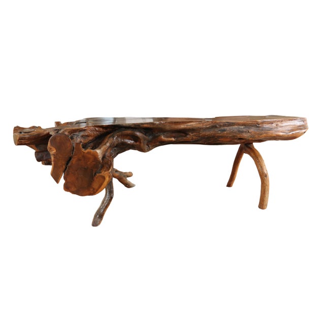 Brown Large Sculptural Rootwood Coffee Table, 1970s For Sale - Image 8 of 16