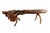 Brown Large Sculptural Rootwood Coffee Table, 1970s For Sale - Image 8 of 16