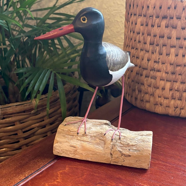 1980s 1980's American Oystercatcher Shore Bird Wood Carving Statue Figurine For Sale - Image 5 of 12