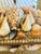 Antique Shell Box For Sale - Image 4 of 12