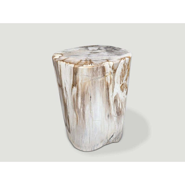 Contemporary Andrianna Shamaris Ancient Petrified Wood Side Table For Sale - Image 3 of 6