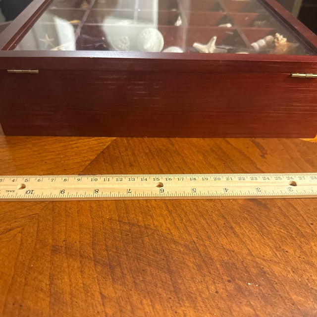 Wood Seashell Collection in Glass-Front Display Case For Sale - Image 7 of 12