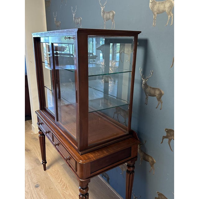 Vintage Display Cabiniet, 1890s For Sale - Image 3 of 9
