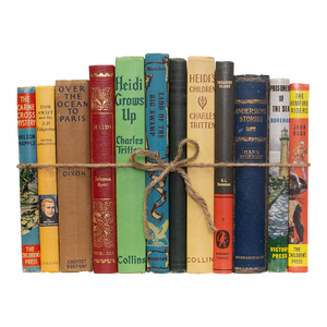 Decorative Books - Vintage Children's Book Bundle - 1 Foot of Subject Books