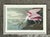 Vintage Audubon Print of Pink Spoonbill For Sale In West Palm - Image 6 of 12