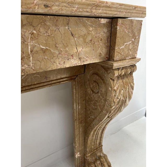 Stone Napoleon III Fireplace with Claw Feet in Speckled Marble, 1800s For Sale - Image 7 of 18