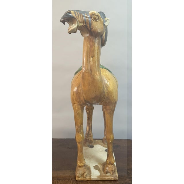 Pair of 19th Century Chinese Glazed Pottery Camel Figures For Sale - Image 9 of 17
