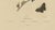 Paper Aug. Duméril, Polyommatus Butterflies and Caterpillars, 1830, Engraving For Sale - Image 7 of 8