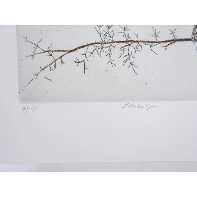 Late 20th century colored etching on paper of baby Bluebird on a tree branch. Signed illegibly, titled Little Joe and...