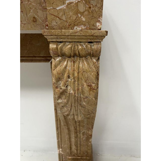 Napoleon III Fireplace with Claw Feet in Speckled Marble, 1800s For Sale - Image 13 of 18