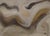 Anna Maria Caboni, Desert, 2010, Acrylic Painting For Sale - Image 4 of 4