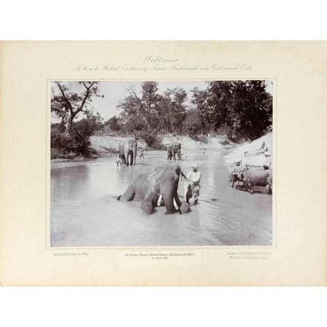 Eduard Hodek Jun, India, Nepal, Cattani Camp, Vintage Photograph, 1893 For Sale - Image 3 of 3