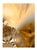 Paul Cooklin, Abstraction 714, Edition of 50 For Sale