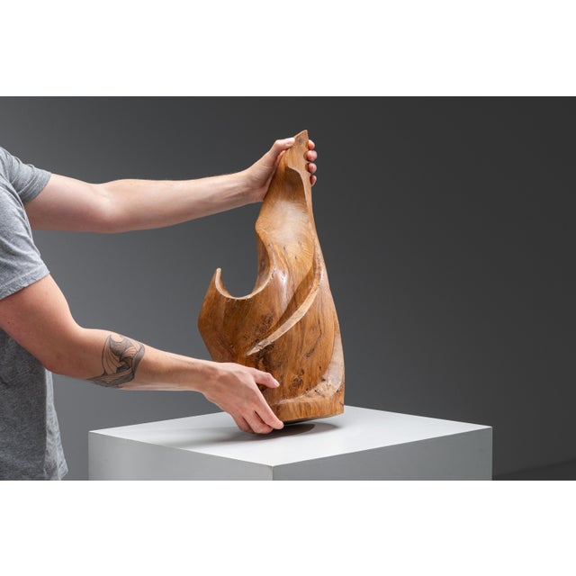 Brown Sculptural Form in Elm, 1985 For Sale - Image 8 of 18