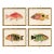 2020s Contemporary Reproduction of Vintage Fish (4) Art Print, Framed For Sale - Image 5 of 5