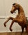 Brown Life Size Arts and Crafts Leather Model of a Horse, 1920s For Sale - Image 8 of 10