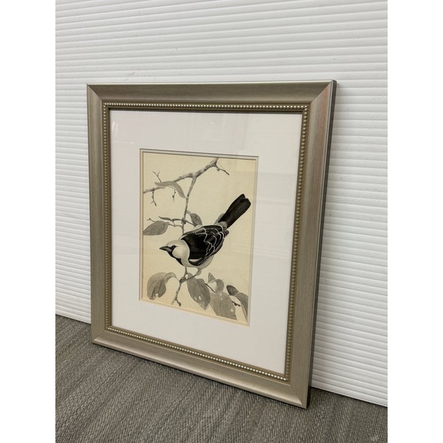 Traditional Larry Haines Loggerhead Shrike Series Bird Study Drawing, Framed For Sale - Image 3 of 12
