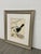 Traditional Larry Haines Loggerhead Shrike Series Bird Study Drawing, Framed For Sale - Image 3 of 12