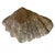 Vintage Heavy Cast Bronze Giant Clamshell Sculptural Bowl For Sale - Image 9 of 10