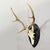 Large Black Forest Antique Deer Trophy on Wooden Plaque, Germany 1900s Item e7712 A large 6 pointer antique red deer...