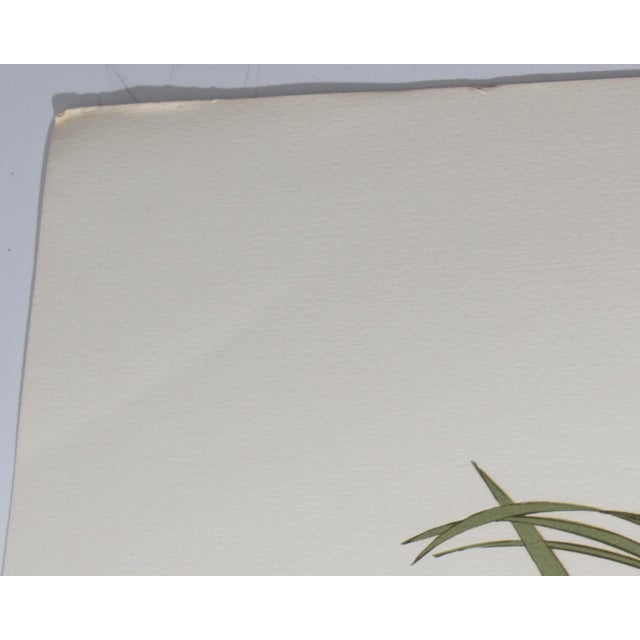 1969 “Le Singe” Limited Edition Lithograph by Phillipe Noyer For Sale - Image 4 of 9