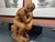 Ceramic Spanish Sculpture the Thinker in Terracotta, 2010 For Sale - Image 7 of 11