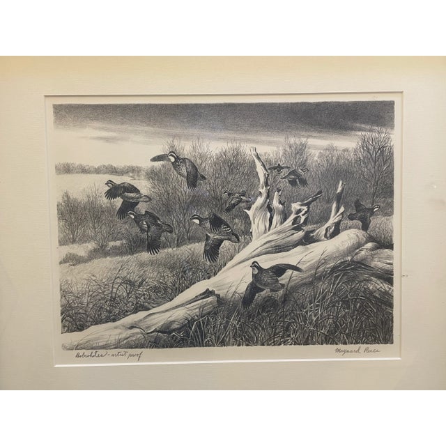 Offered here is a beautiful original hand-signed lithograph by legendary wildlife artist Maynard Reece (1920–2020), titled...