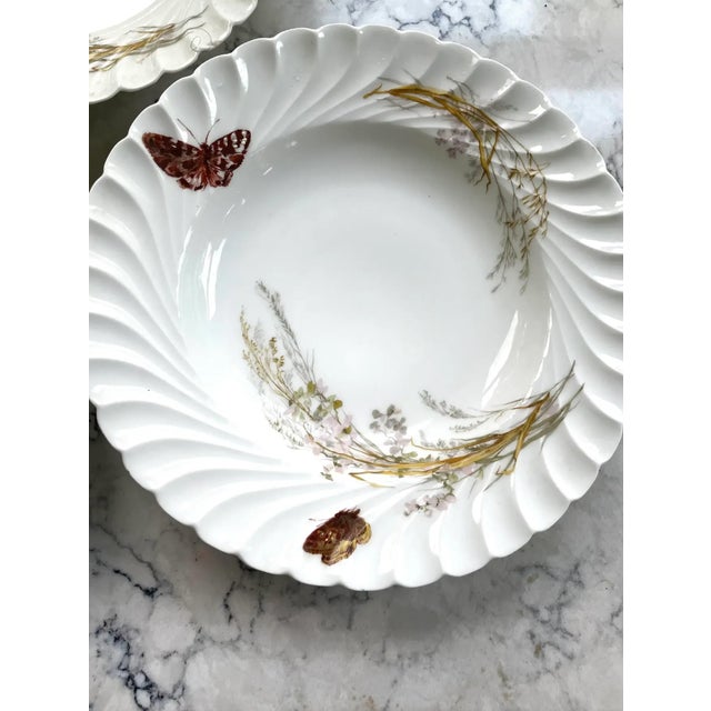 Lovely set of three Limoges Haviland & Co. Meadow Visitor Butterfly porcelain bowls, Late 19th Century Small chips see...