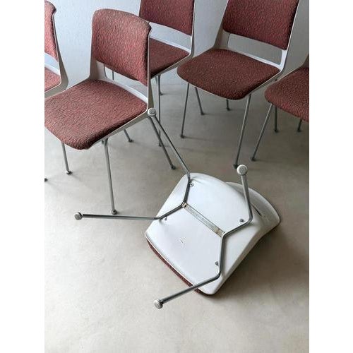 2215 Dining Chairs by André Cordemeyer for Gispen, Set of 6 For Sale - Image 6 of 13