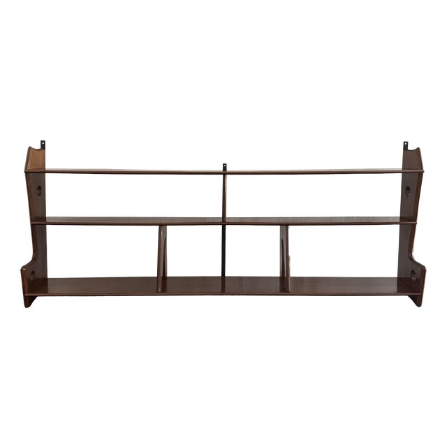 Vintage Organic Hanging Shelf, 1950s For Sale