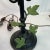 Vintage Home is pleased to present this pair of gorgeous French Bouillotte style Maitland-Smith table lamps. These are...