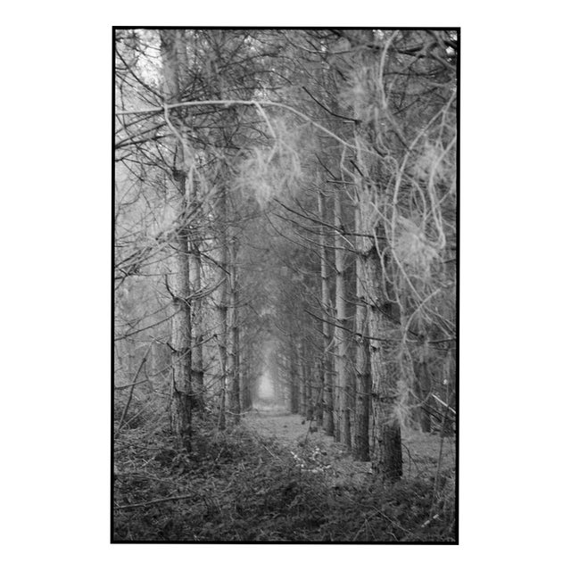 Paul Cooklin, Scan 20211222 89, Edition of 50 For Sale