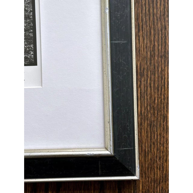 Framed Editioned Vintage Photograph Adam in Central Park New York Arthur Tress For Sale - Image 12 of 12