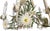 Vintage Italian Tole Daisy Chandelier - 6 Arms For Sale - Image 14 of 14