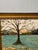Traditional 20th Century Oil Painting Treescape For Sale - Image 3 of 5