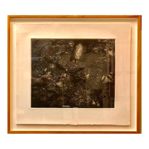 Richard HrickoMezzotint Etching Botanical Print 'Mantle' Signed AP Jungle Image